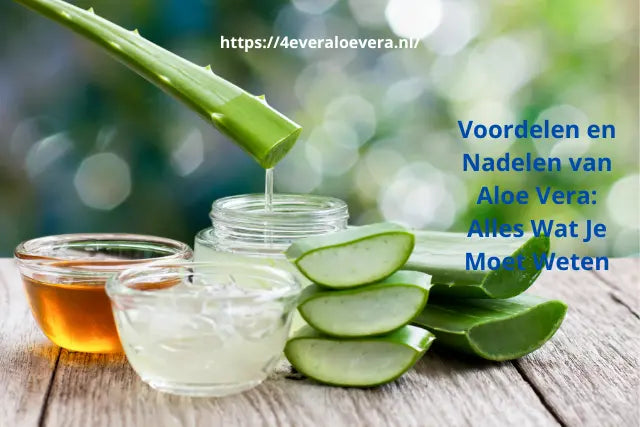 Voordelen en nadelen van aloe vera | Wat je echt moet weten  4everaloevera