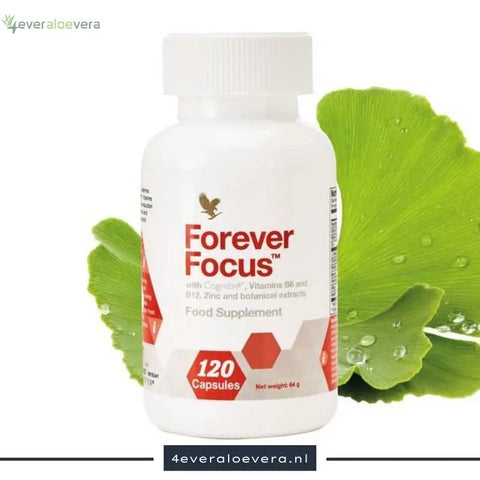 Forever Focus: Jouw Gids naar Mentale Scherpte en Productiviteit