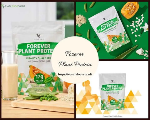Geniet van een Zachte en Romige Textuur: Forever Plant Proteïne Shake