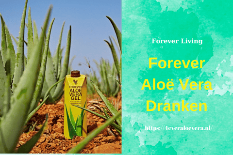 Voordelen van het drinken van Aloë Vera Sap Forever