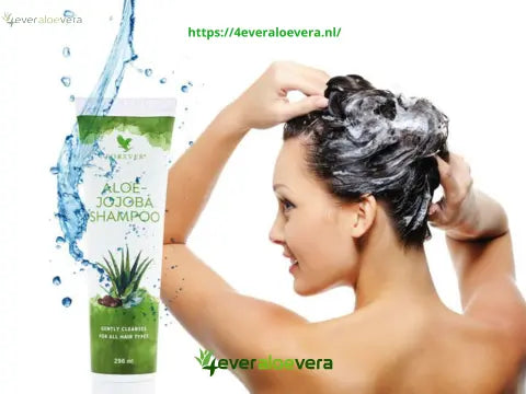 aloe jojoba shampoo en conditioner kopen met 15% korting op 4everaloevera.nl