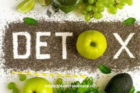 Forever clean 9 of c9 detox producten bestellen met 15% korting en gratis zending op 4everaloevera.nl