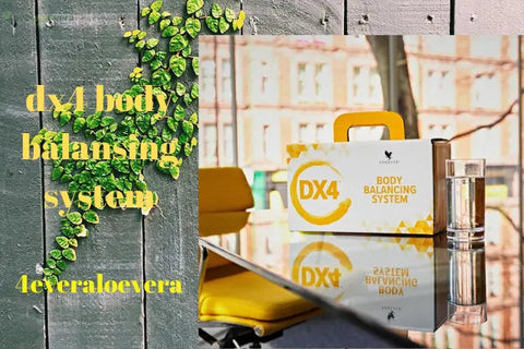 Op weg naar balans, DX4-Programma, Forever Body Balansing System