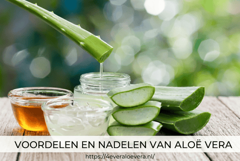 Voordelen en Nadelen van Aloe Vera: Een Natuurlijk Wondermiddel? - 4everaloevera