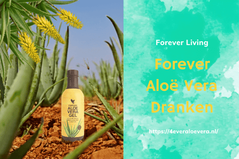 Voordelen van het drinken van Aloë Vera Sap Forever - 4everaloevera