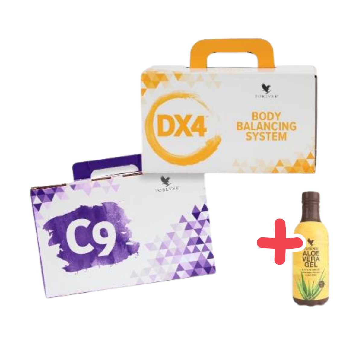 Forever 13-Day-Fit-Programma