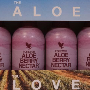 4-Pack Forever Aloe Berry Nectar