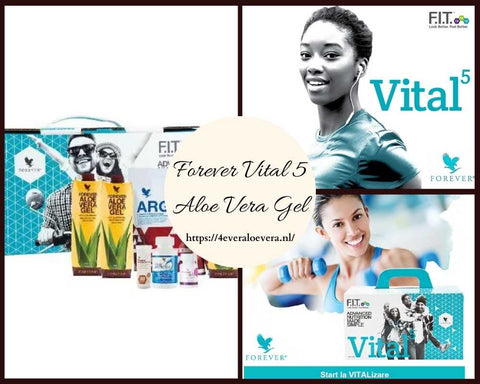 Vital5 Box Forever Aloe Vera Gel