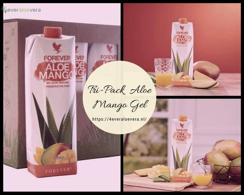 TRIPACK Forever Aloe Mango Gel - 3 x 1 Liter 4everaloevera