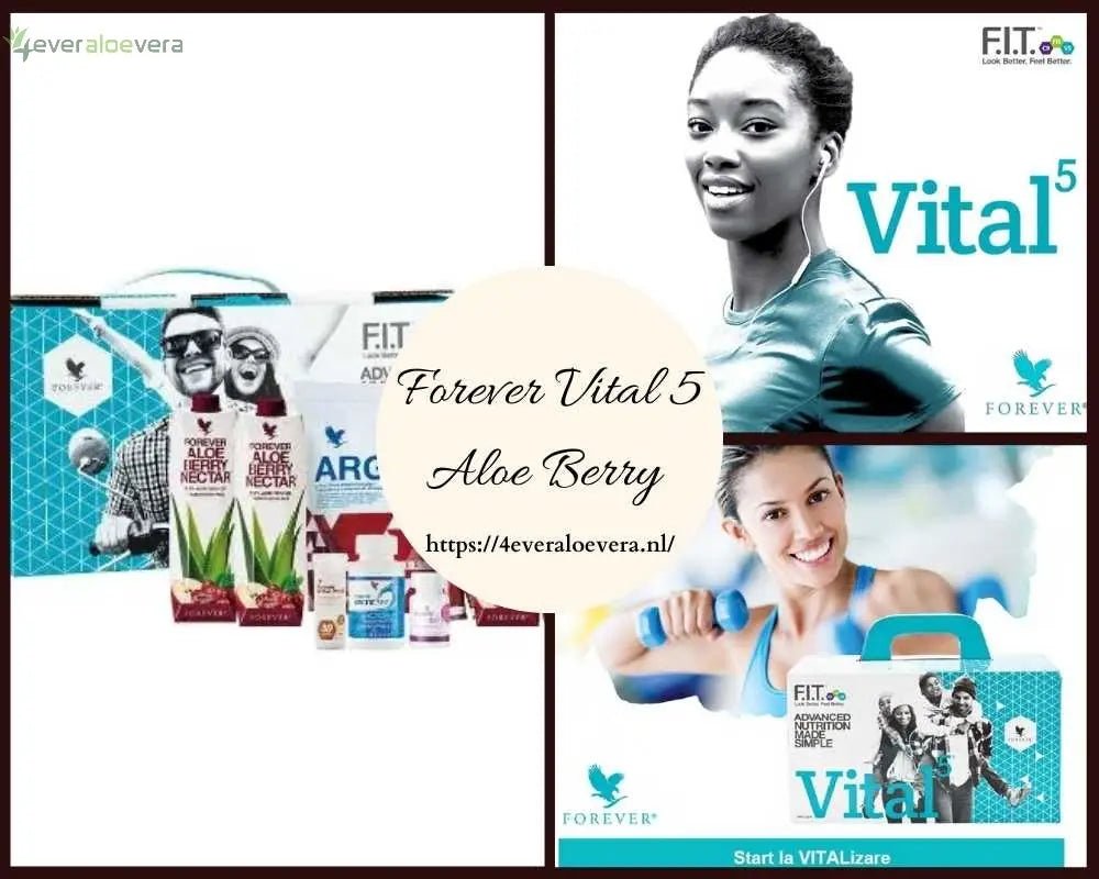 Forever Vital5 Berry Nectar supporto quotidiano per energia ed equilibrio